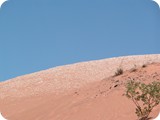 Broome Midden 03024