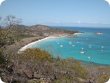 Lizard island 