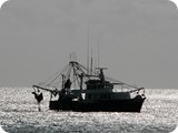 Trawler at sunrise